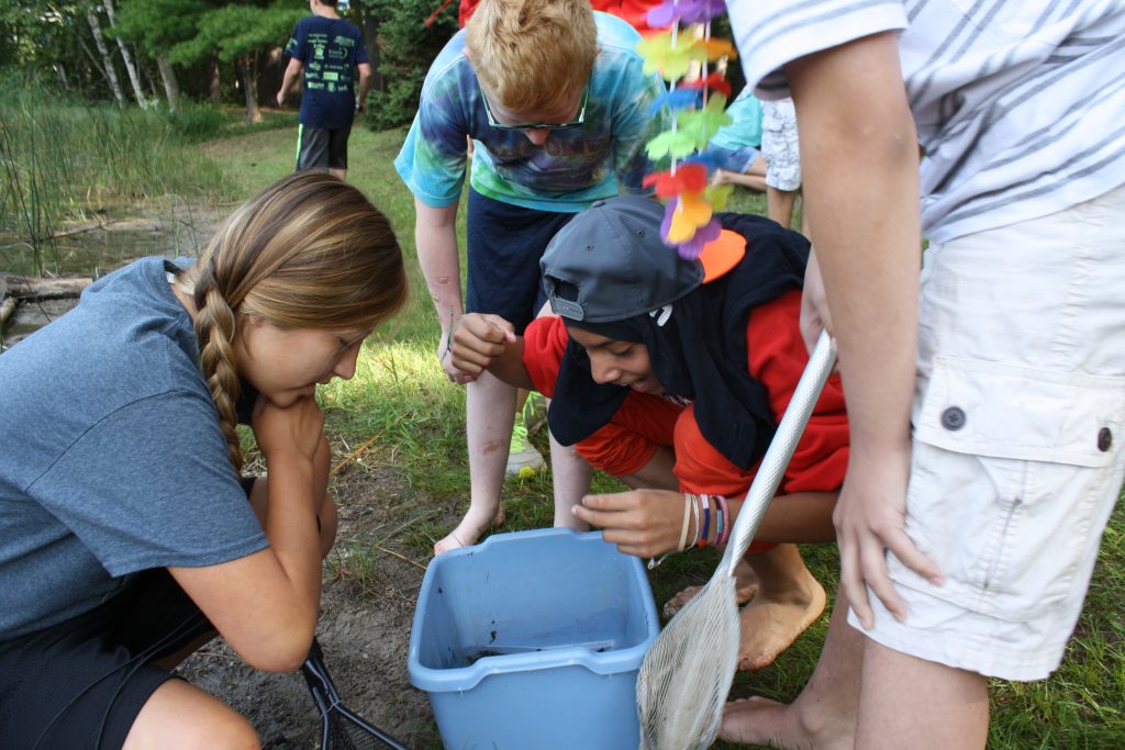 Photo/Video Albums - Timbertop Camp for Youth with Learning Disabilities